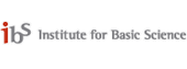 IBS Center